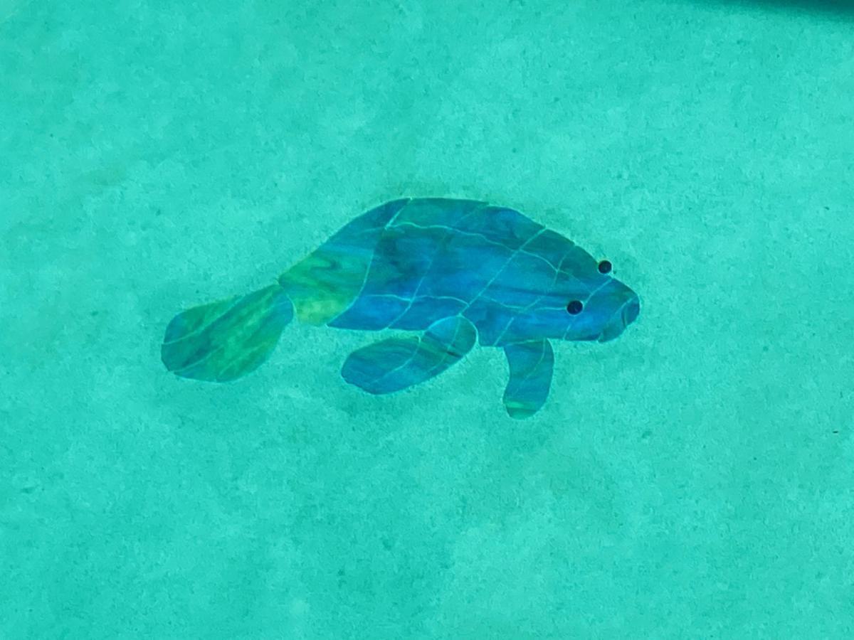 קריסטל ריבר Your Manatee And Scalloping Adventure Retreat מראה חיצוני תמונה
