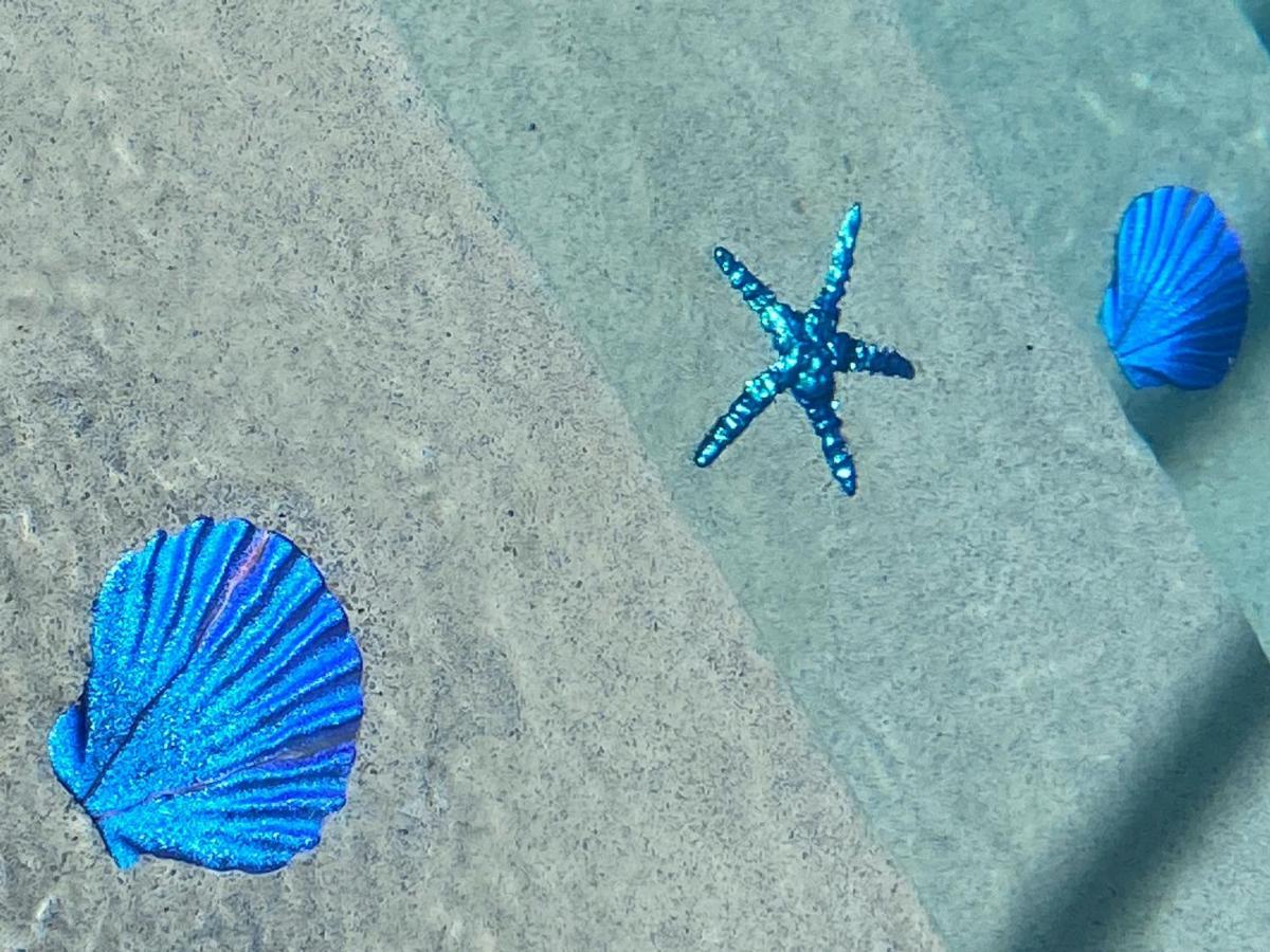 קריסטל ריבר Your Manatee And Scalloping Adventure Retreat מראה חיצוני תמונה